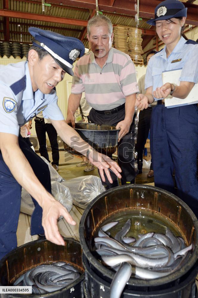 Imported eels checked at Narita airport customs