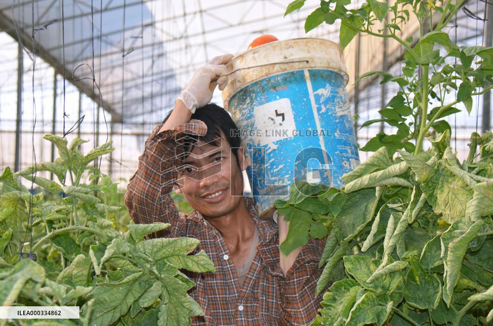 Thai laborer working near Israel's Erez Crossing
