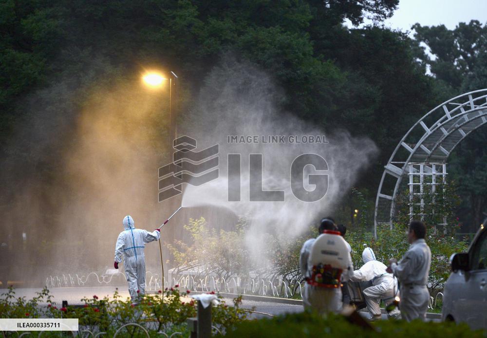 Worker sprays pesticide in park to fight dengue fever