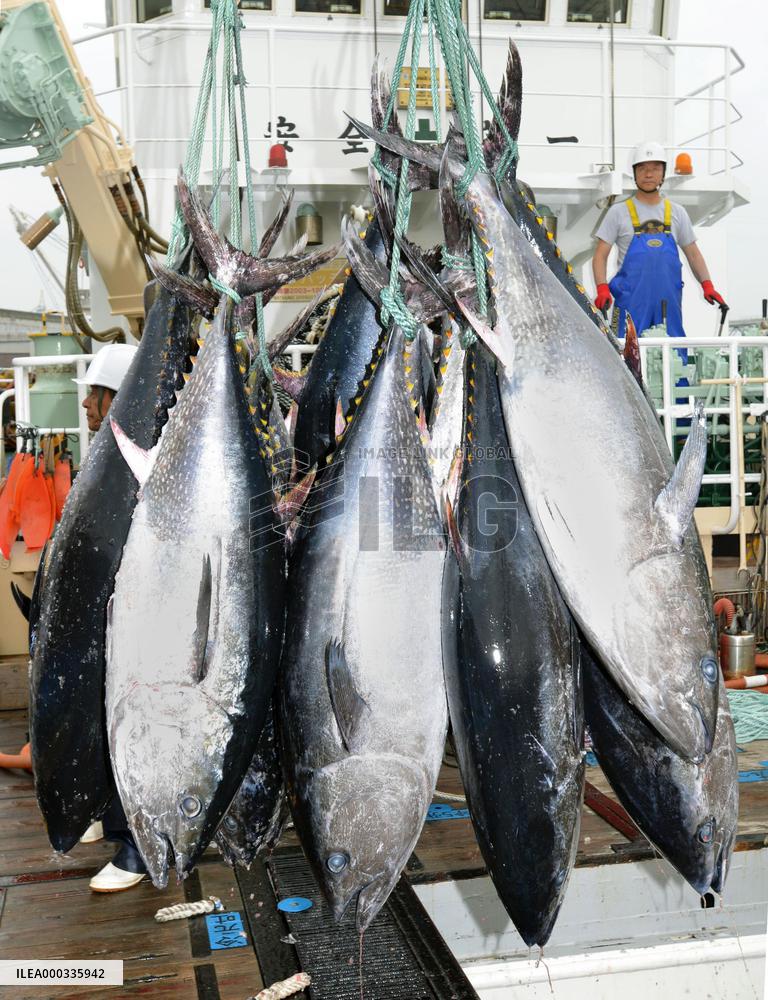 Int'l confab on bluefin tuna catches