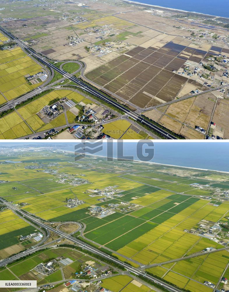 2011 disaster: farmland then and now
