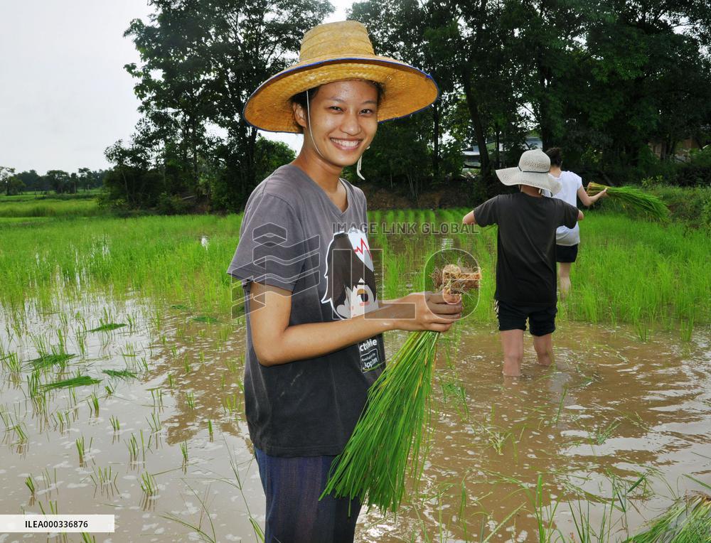 Young Thai woman smiles while working in paddy field