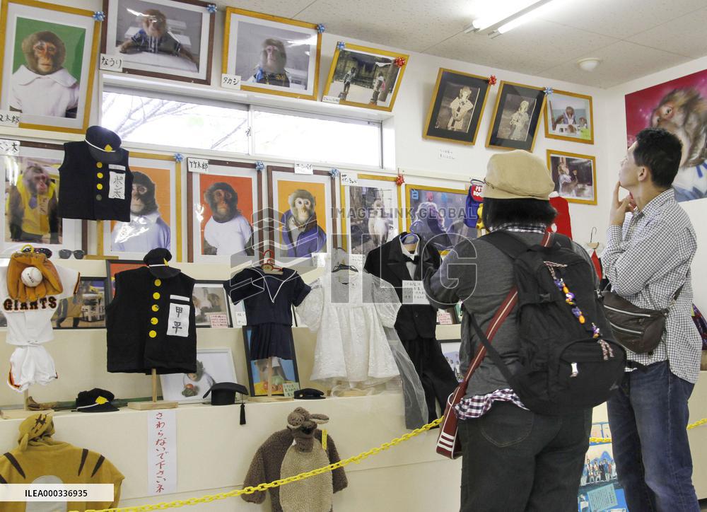 Tourists visit 'monkey school' museum