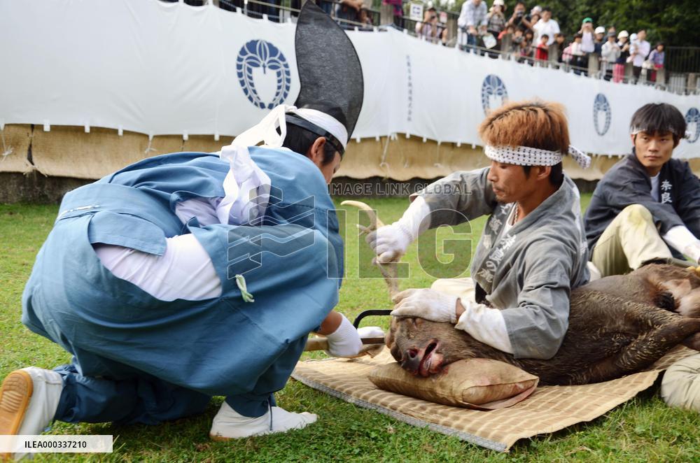 Antler-cutting ritual starts in Nara Park