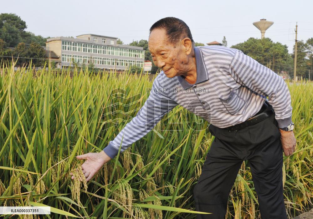 China's savior from famine misses Nobel Peace Prize