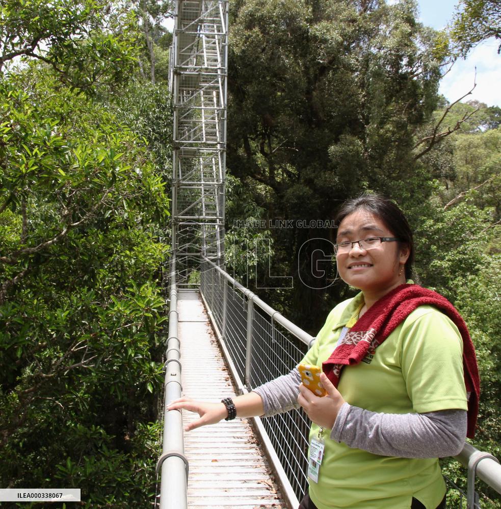 Ulu Temburong National Park in Brunei