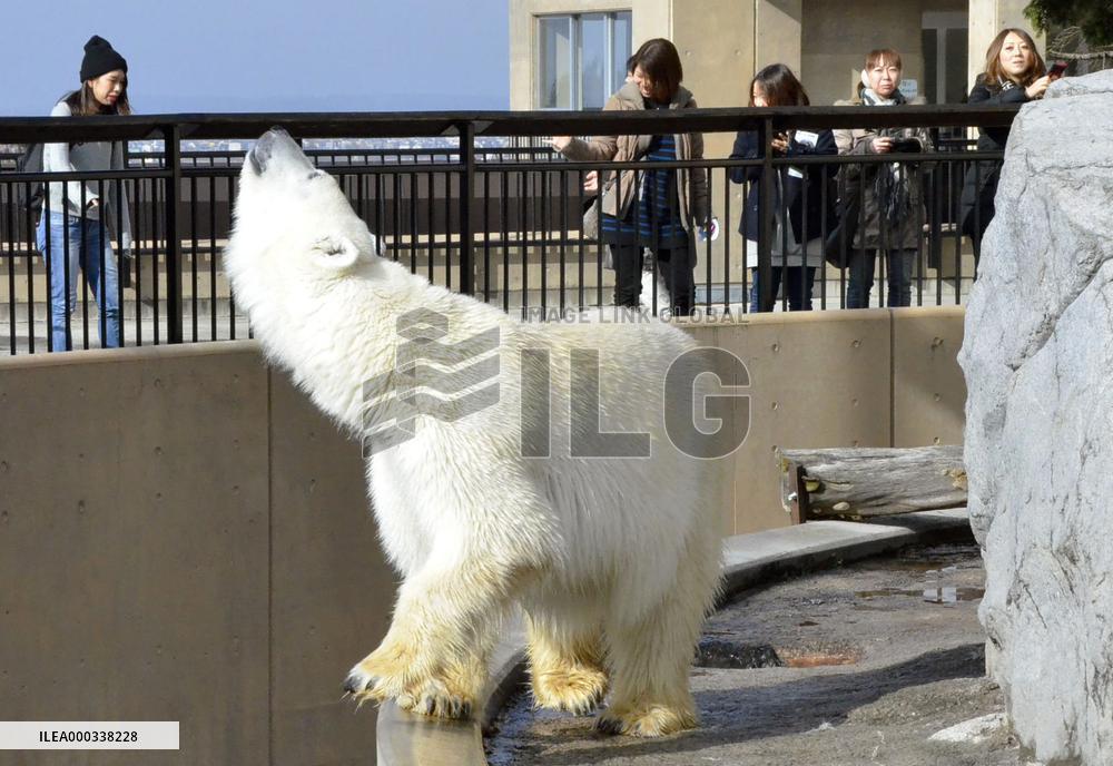 Season for arctic animals arrives