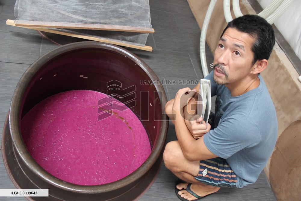 Distilling shochu spirit in Hawaii