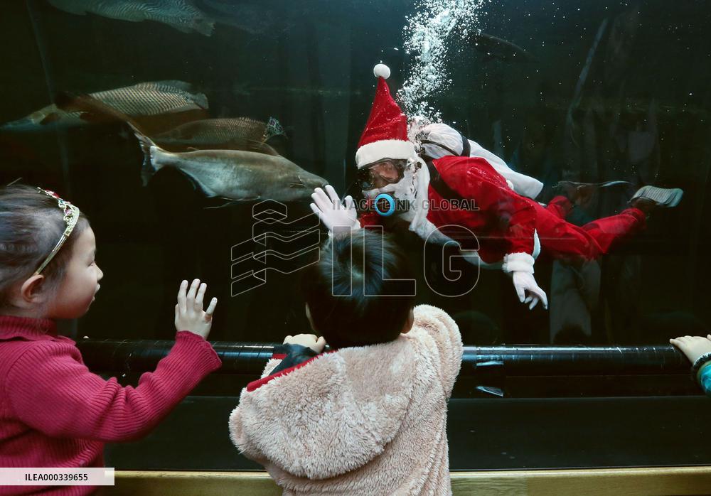 Diver in Santa Claus costume greets visitors at aquarium