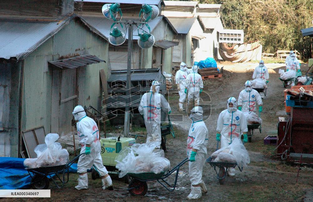 Another bird flu case confirmed in Aichi Pref.