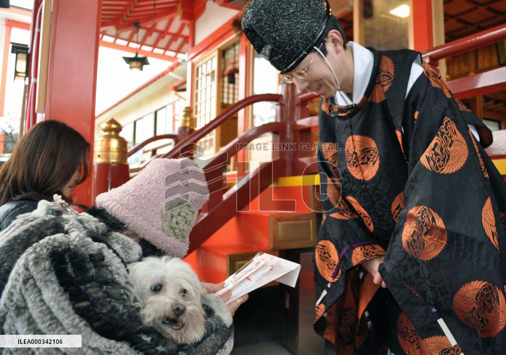 Dogs blessed at shrine