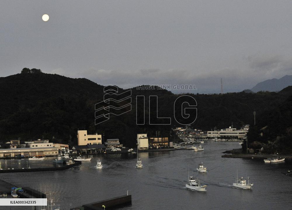 Dolphin hunt in Taiji