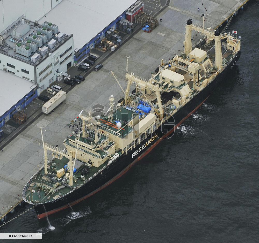 Whaling fleet returns home