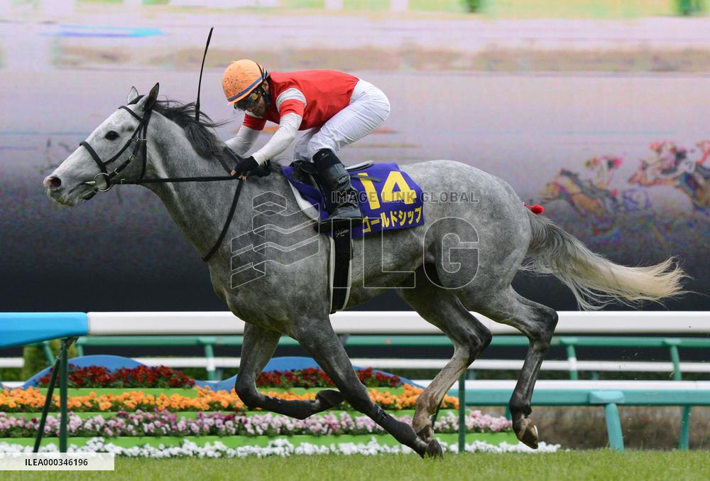 Gold Ship wins Satsuki-sho