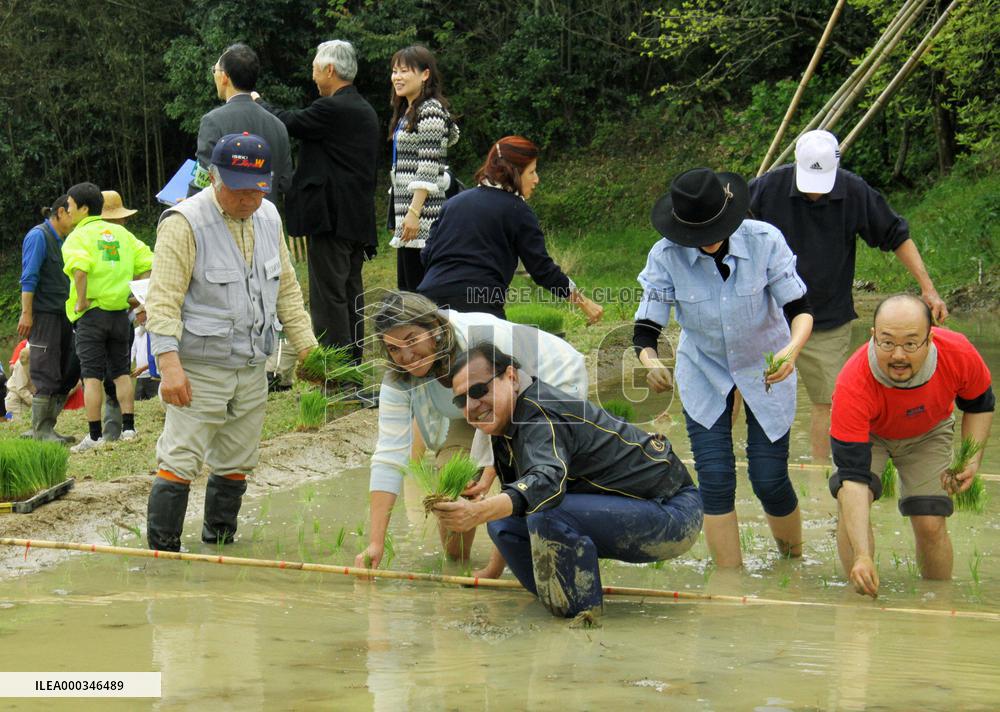 Central, South American envoys experience rice planting