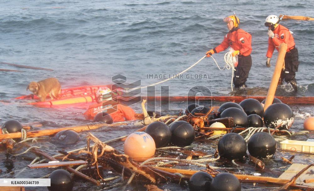 Dog drifting atop roof rescued