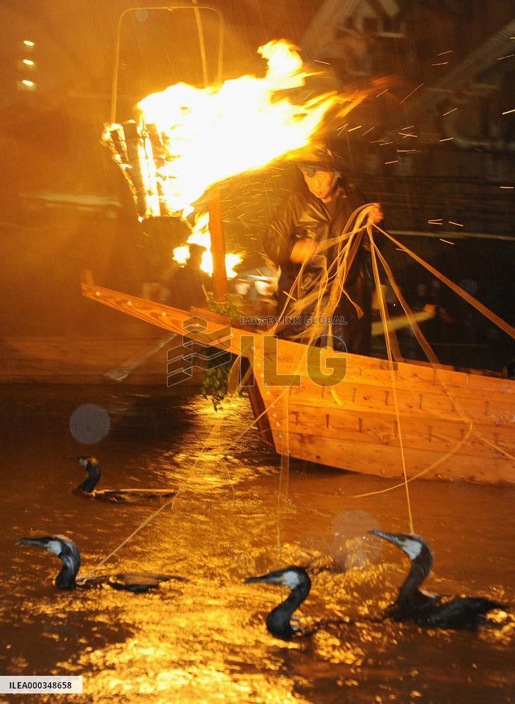 Cormorant fishing on Nagara River