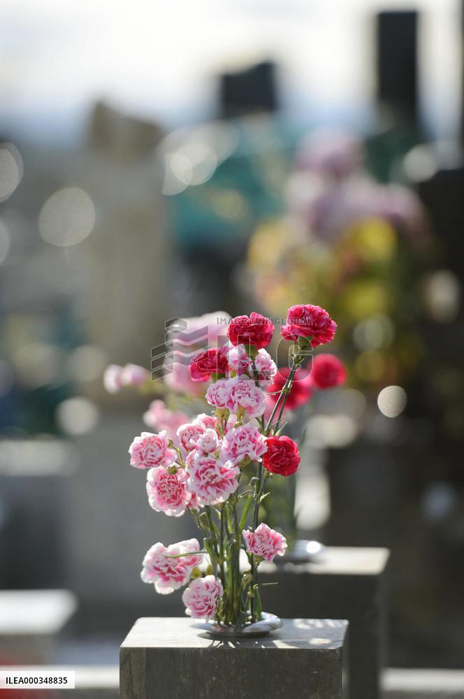 Carnations on gravestone