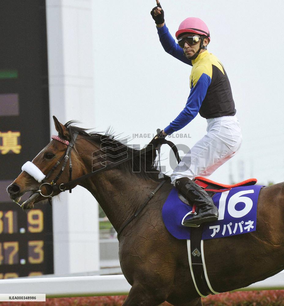 Apapane wins Victoria Mile