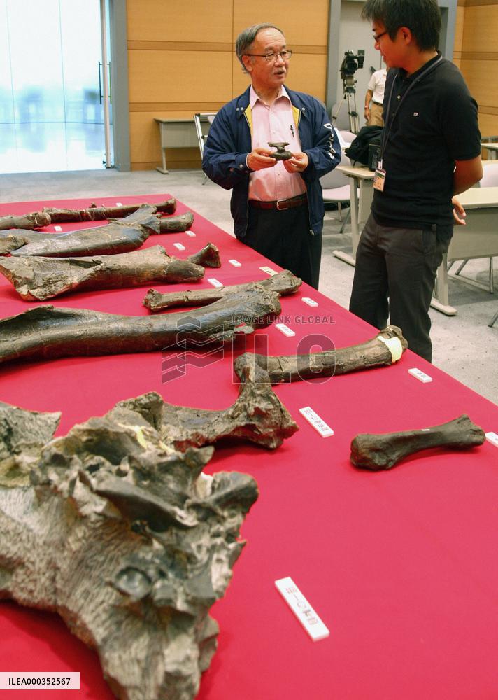 New dinosaur species