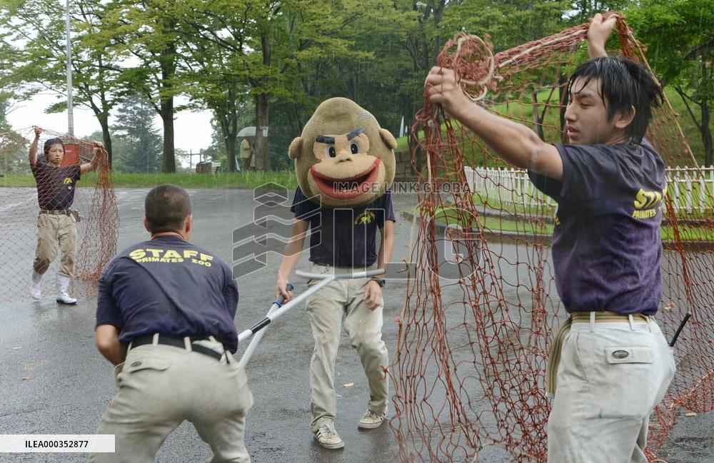 Gorilla capturing practice