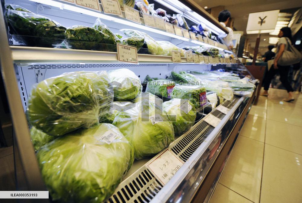 Vegetable prices rising