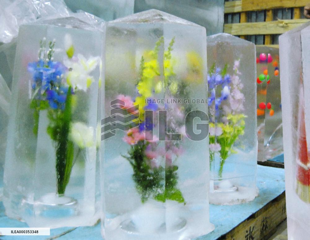 Flowers in ice