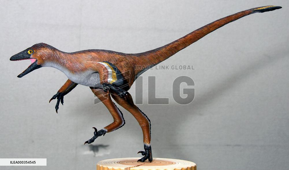 Newly-found dinosaur in western Japan