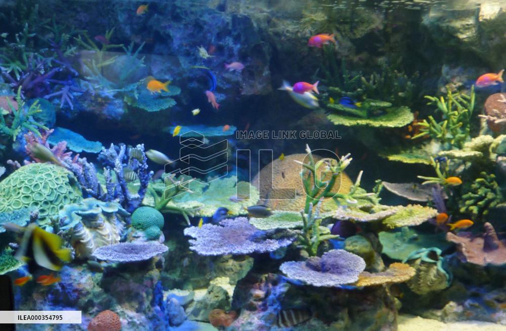 Sunshine Aquarium