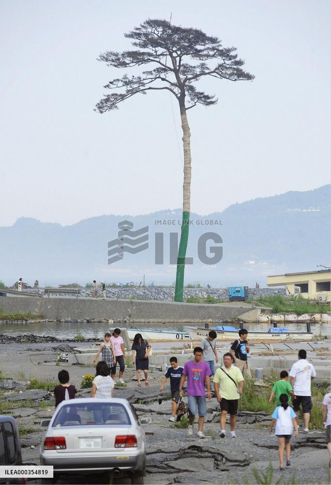 Miyazaki governor asks Kan to back revival of livestock farming