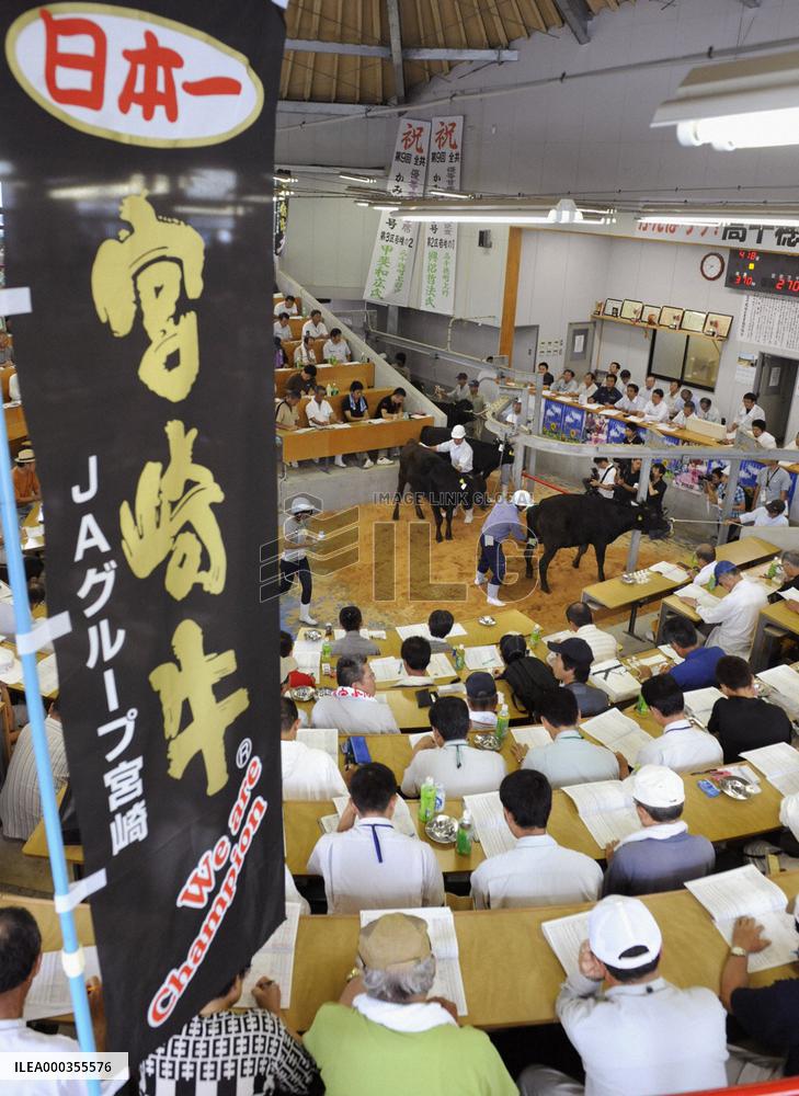 Cow auction resumes in disease-hit Miyazaki