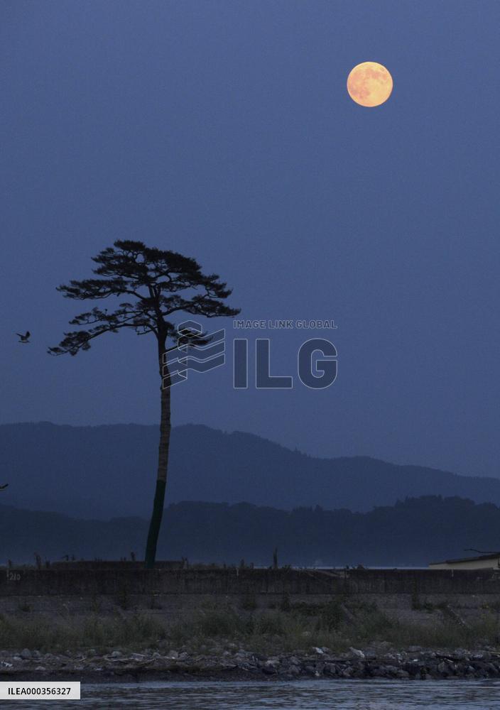 Harvest moon in disaster-hit Iwate