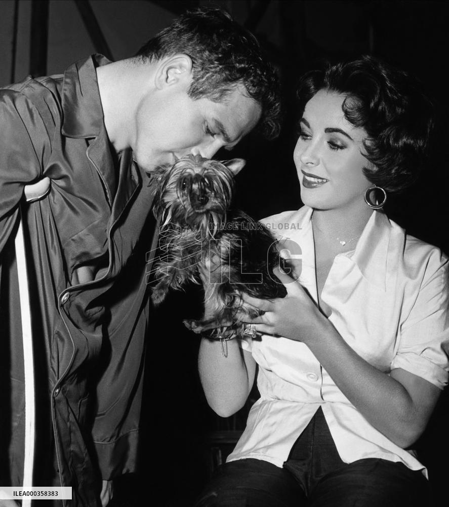 Cat On A Hot Tin Roof film (1958)