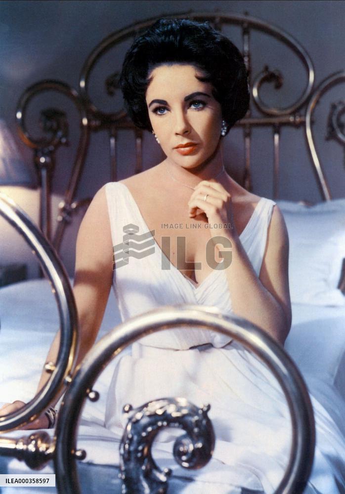 Cat On A Hot Tin Roof film (1958)