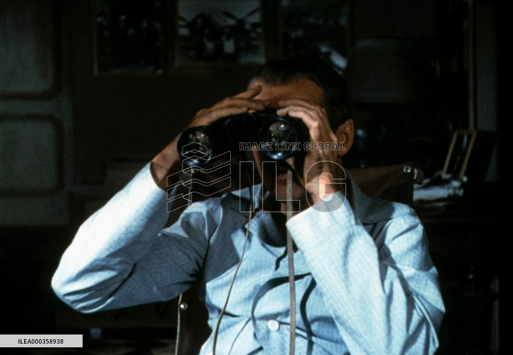 Rear Window film (1954)