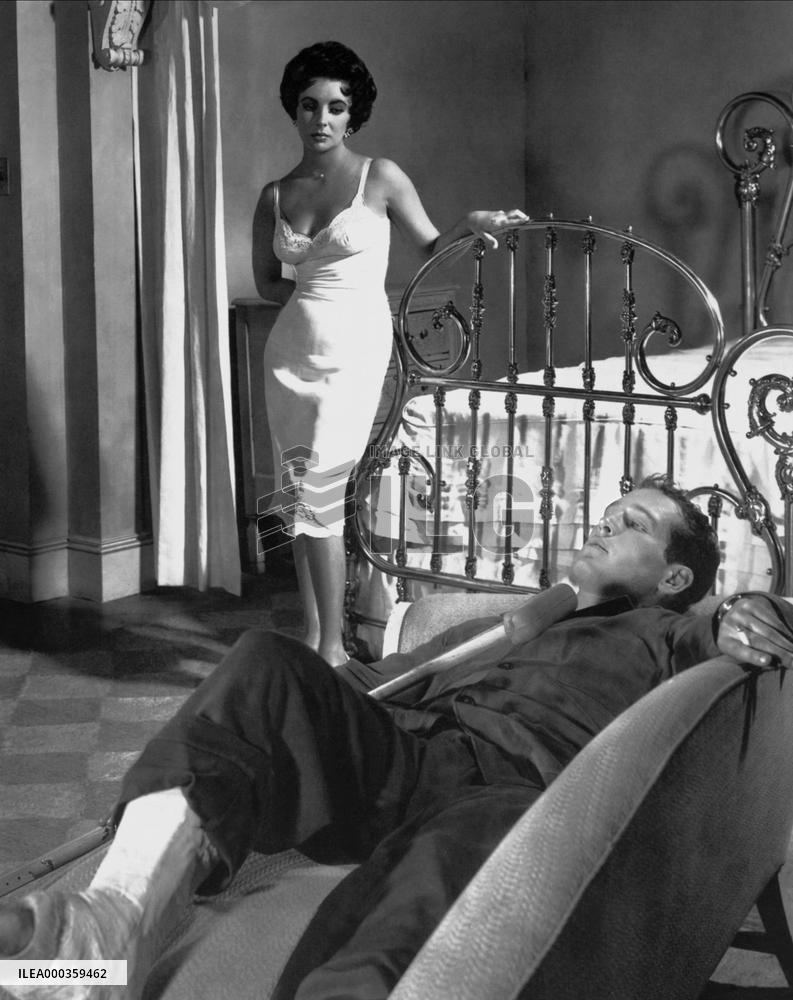 Cat On A Hot Tin Roof film (1958)