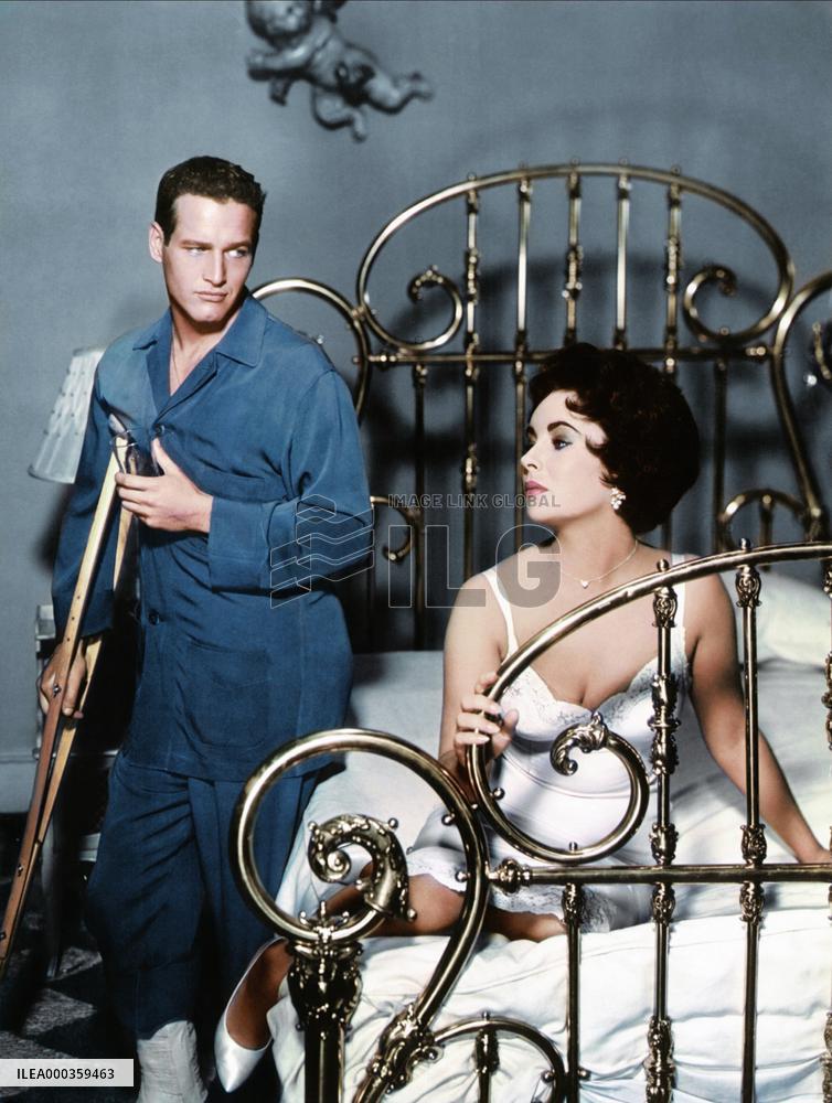 Cat On A Hot Tin Roof film (1958)