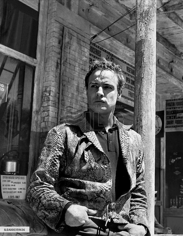 The Fugitive Kind film (1959)