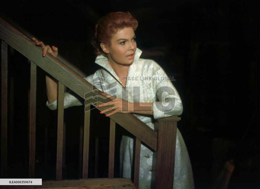 The Fly film (1958)
