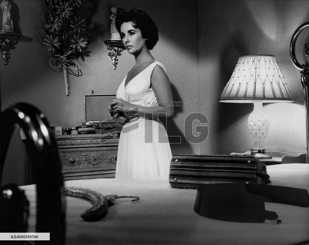 Cat On A Hot Tin Roof film (1958)