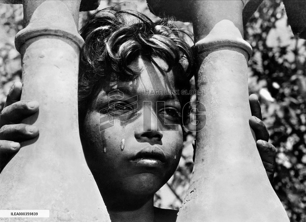 The River film (1951)