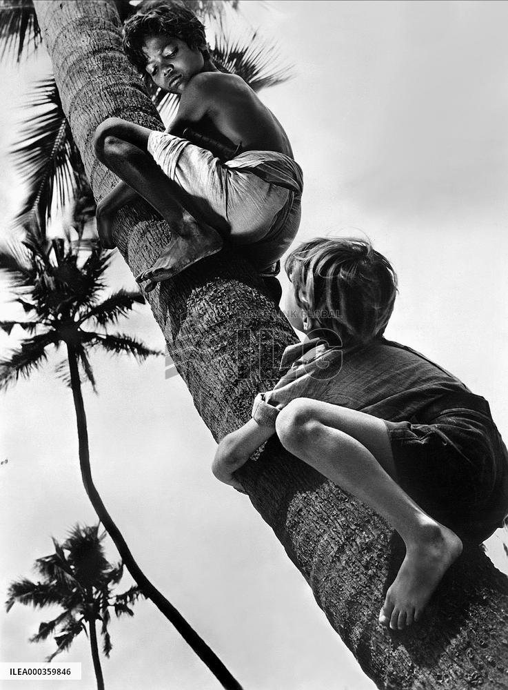 The River film (1951)