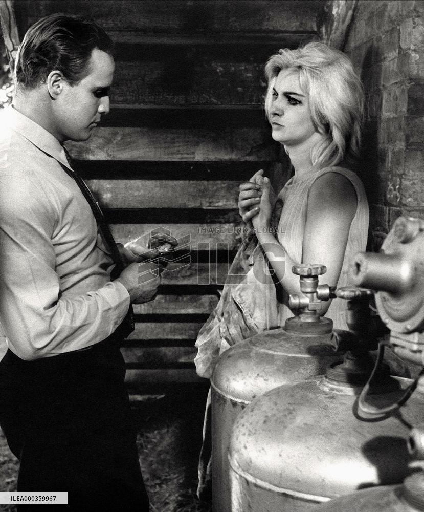 The Fugitive Kind film (1959)