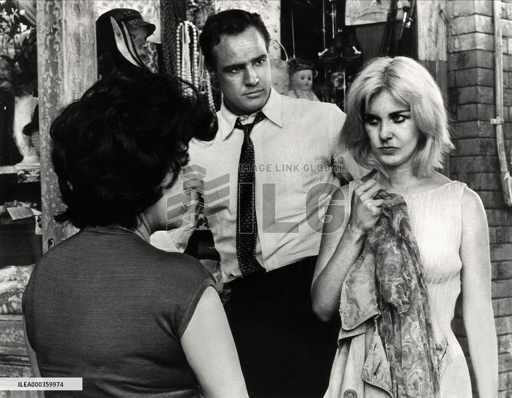 The Fugitive Kind film (1959)