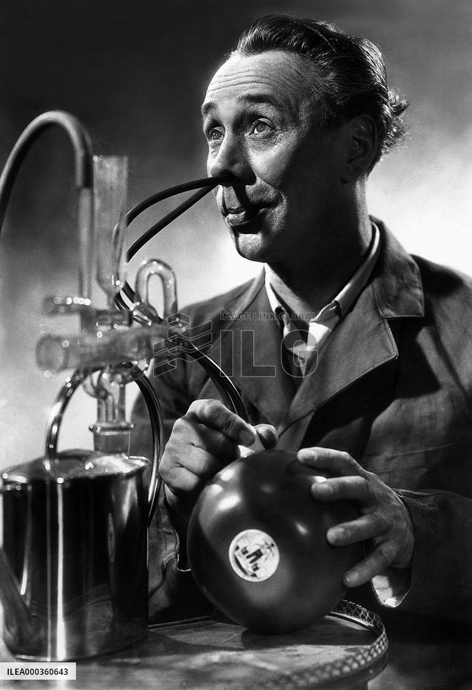 Hollandmadel film (1953)