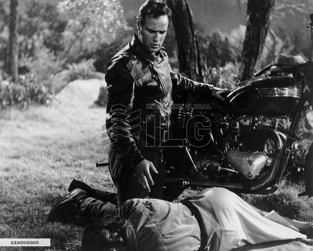 The Wild One film (1953)