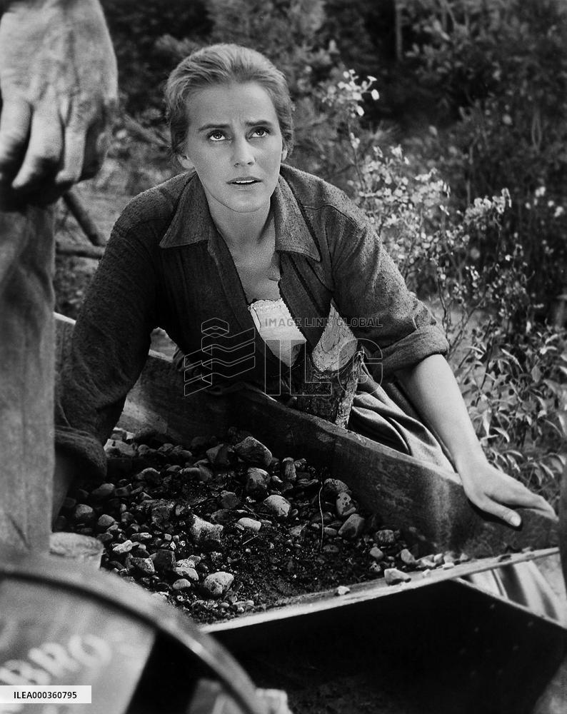 The Brothers Karamazov film (1958)