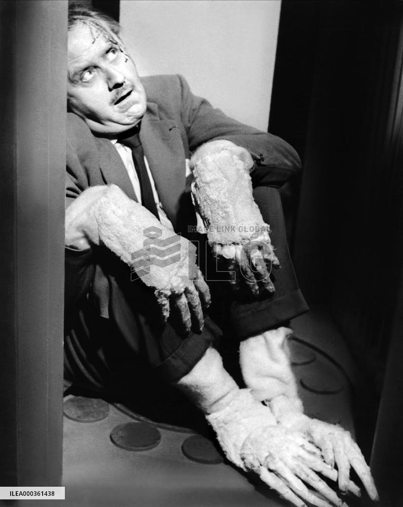 The Return Of The Fly film (1959)