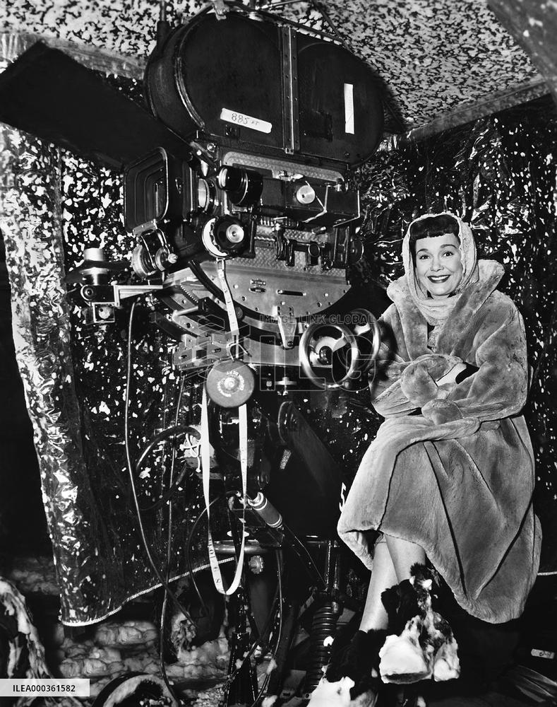 All That Heaven Allows film (1955)