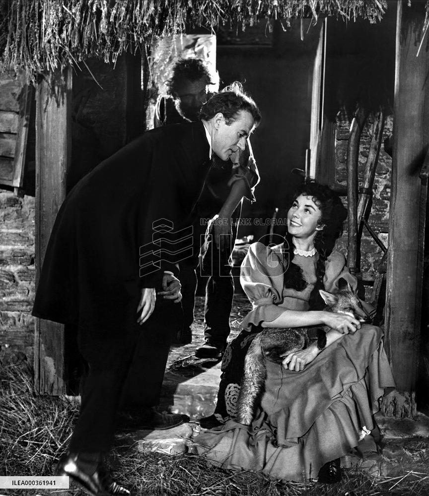 Gone To Earth film (1950)